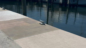 Marina Traffic Coatings: Built for the Water's Edge